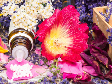 An Informative Guide Into Holistic Dentistry 